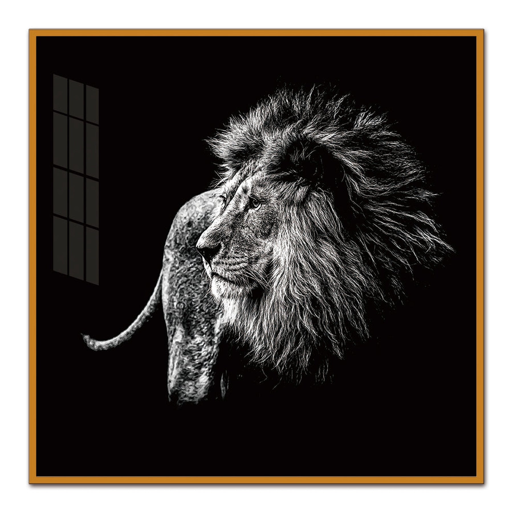 Lion Gazing Black & White Wall Art | 60x60 cm