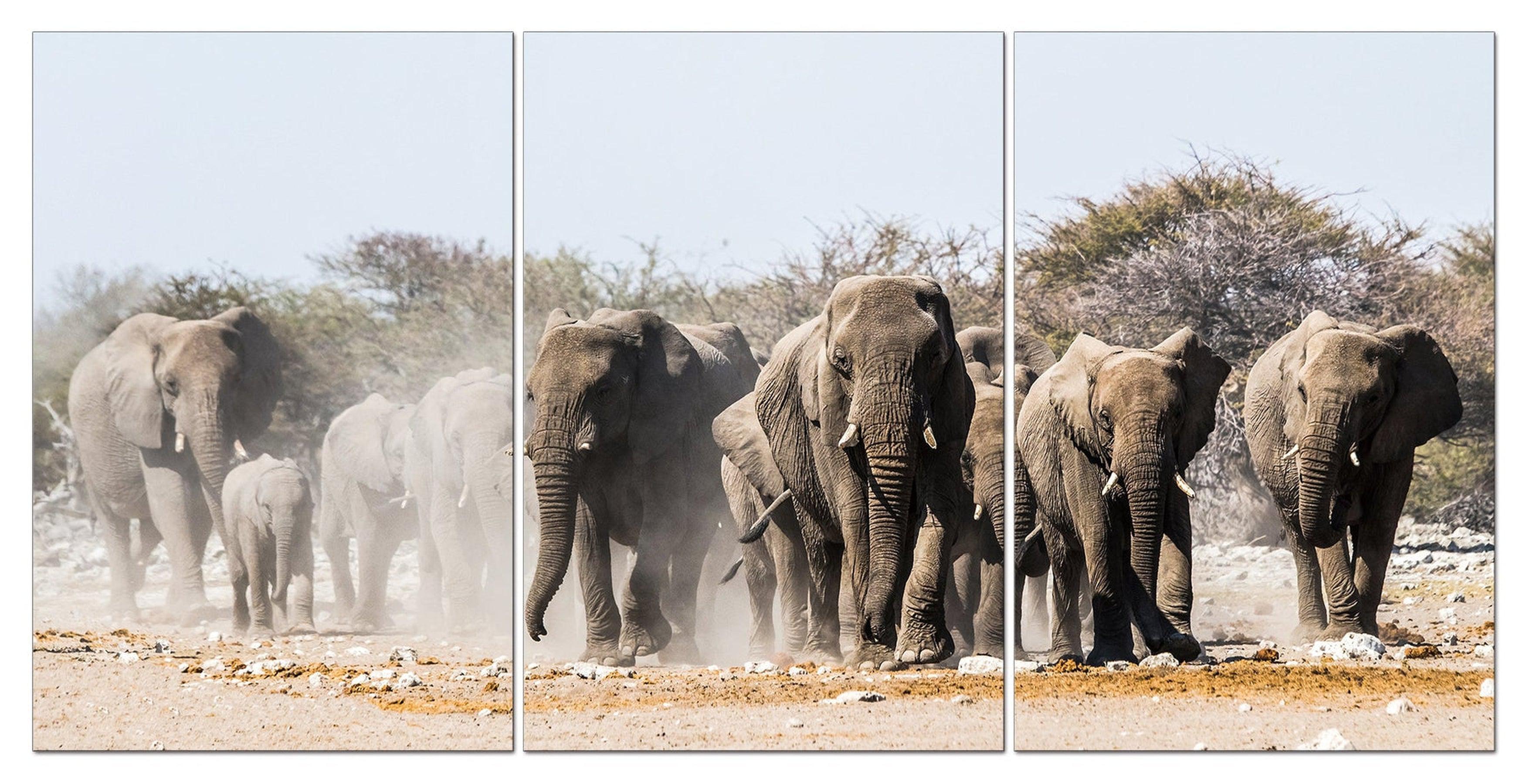 Wild African Elephants Wall Art | 70 x 50 cm
