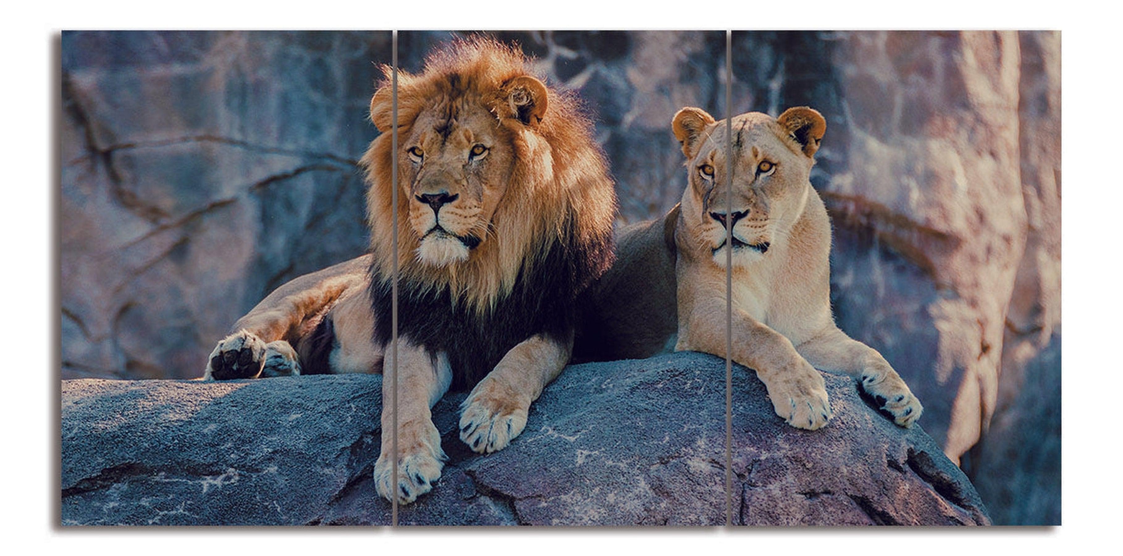 Lion King And Queen Of The Jungle Wall Art | 50x70 cm