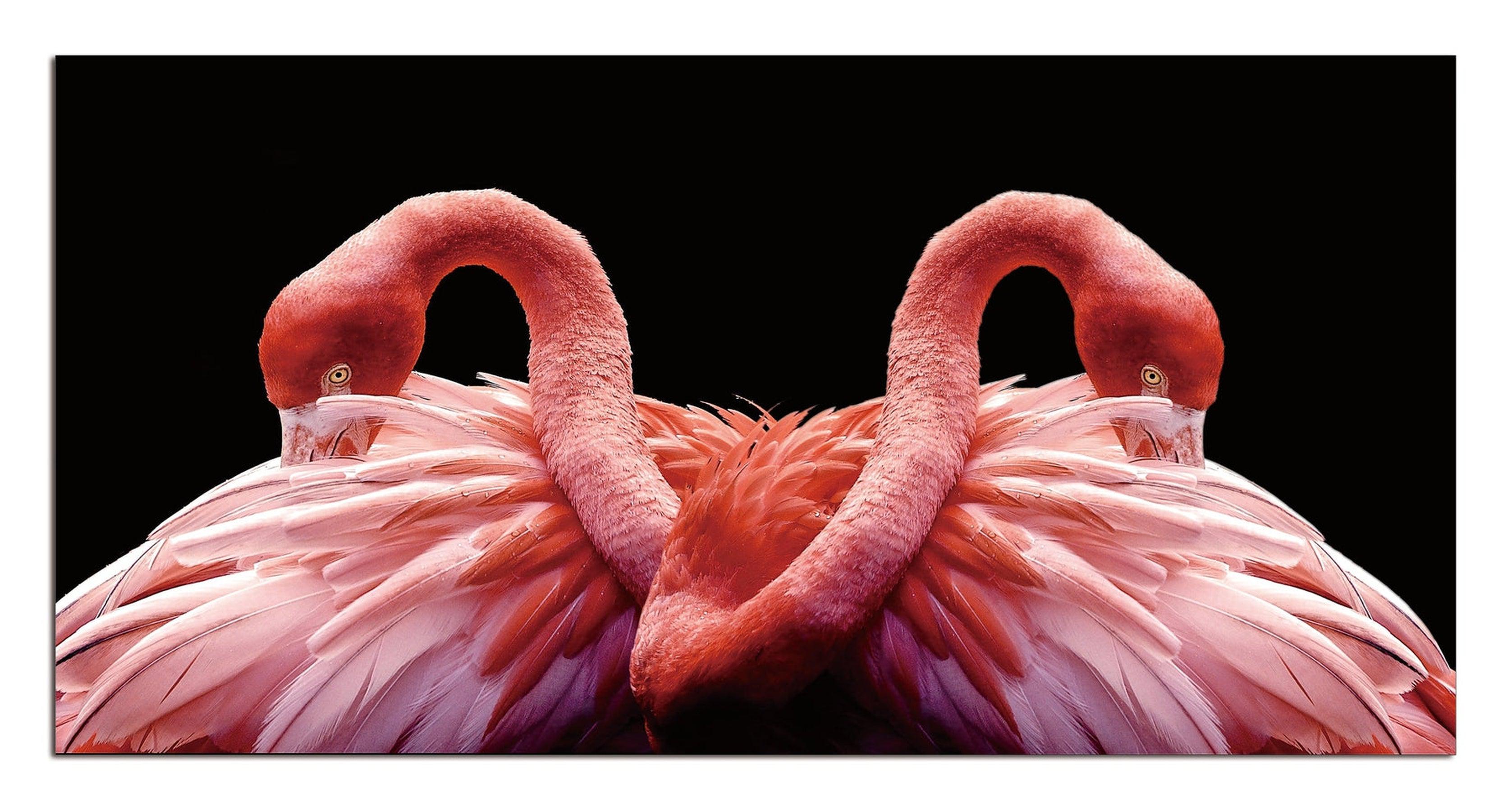 Flamingo Love Wall Art | 50x70 cm